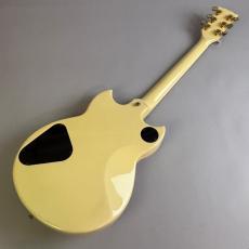 YAMAHA SG1000 Kahler　MOD_6