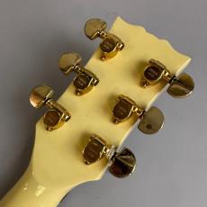 YAMAHA SG1000 Kahler　MOD_8