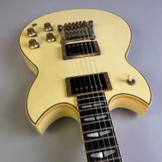 YAMAHA SG1000 Kahler　MOD_9