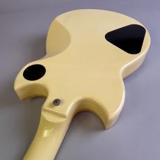YAMAHA SG1000 Kahler　MOD_10
