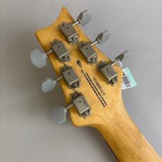 Paul Reed Smith [PRS] SE SILVER SKY ROSEWOOD【レフティー】_8