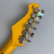 HISTORY HST-S-R-3S　HST-Standard_8