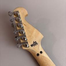 Washburn 4N Nuno Bettencourt_9
