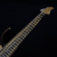 T's DST-24 Custom_3