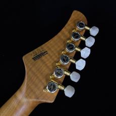 T's DST-24 Custom_8