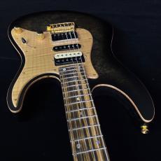 T's DST-24 Custom_9