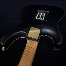 T's DST-24 Custom_10
