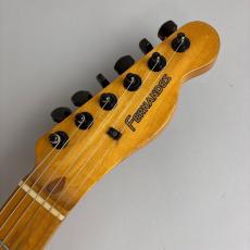FERNANDES TE-85T_4