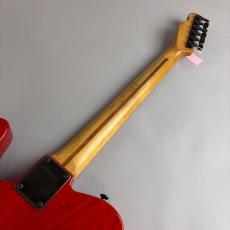 FERNANDES TE-85T_7