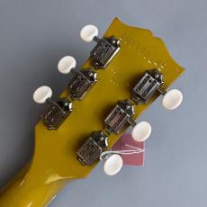 Gibson Gibson Les Paul Special TV Yellow　2019_8