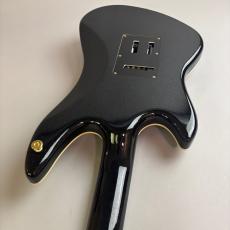 Guyatone Guyatone LG-2100M 45th Anniversary_10