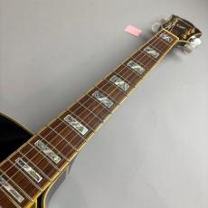 Ibanez AF105-LBK_3