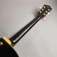 Ibanez AF105-LBK_7