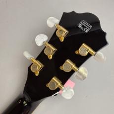 Ibanez AF105-LBK_8