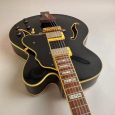Ibanez AF105-LBK_9