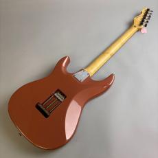 Edwards E-SN-190MF_6