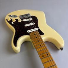 Fender American Standard Stratcaster_9