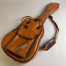 Fender American Standard Stratcaster_11