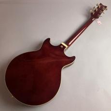Ibanez AMH90QM_6