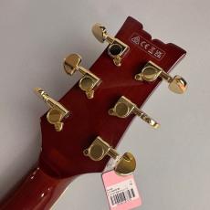 Ibanez AMH90QM_8