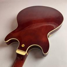 Ibanez AMH90QM_10