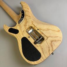 Washburn N4-NUNO SWAMP ASH_5