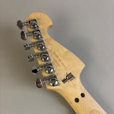 Washburn N4-NUNO SWAMP ASH_8