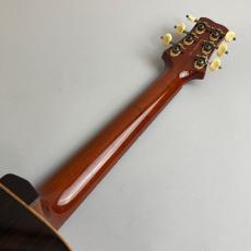 Paul Reed Smith [PRS] Private Stock Acoustics【試奏動画あり】_7