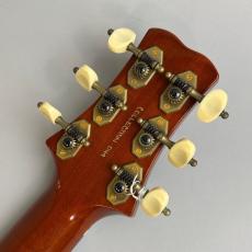 Paul Reed Smith [PRS] Private Stock Acoustics【試奏動画あり】_8