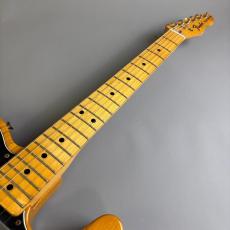 Fender 1973 Telecaster Custom_3