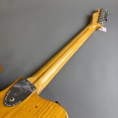 Fender 1973 Telecaster Custom_7