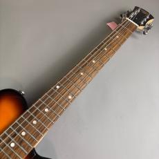 Pignose PGG-200_3