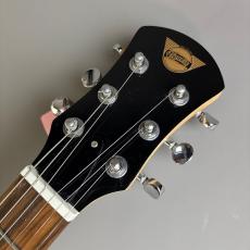 Pignose PGG-200_4