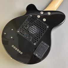 Pignose PGG-200_5