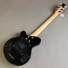 Pignose PGG-200_6