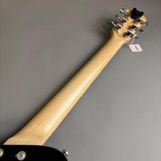 Pignose PGG-200_7
