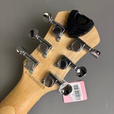 Pignose PGG-200_8