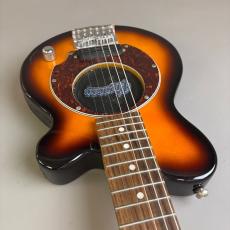 Pignose PGG-200_9