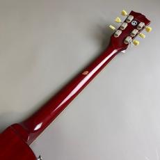Epiphone Limited Edition Les Paul Standard LQ_6