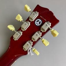 Epiphone Limited Edition Les Paul Standard LQ_7