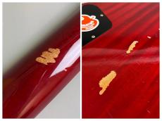 Epiphone Limited Edition Les Paul Standard LQ_9