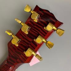 Gibson Chet Atkins Country Gentleman_8