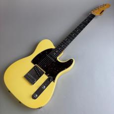 SCHECTER USA TELECASTER MODEL_2