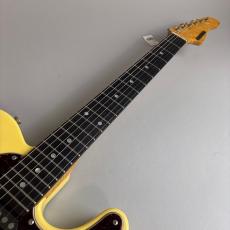 SCHECTER USA TELECASTER MODEL_3