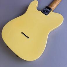 SCHECTER USA TELECASTER MODEL_5