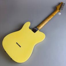 SCHECTER USA TELECASTER MODEL_6
