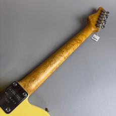 SCHECTER USA TELECASTER MODEL_7