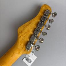 SCHECTER USA TELECASTER MODEL_8