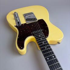 SCHECTER USA TELECASTER MODEL_9