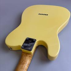 SCHECTER USA TELECASTER MODEL_10